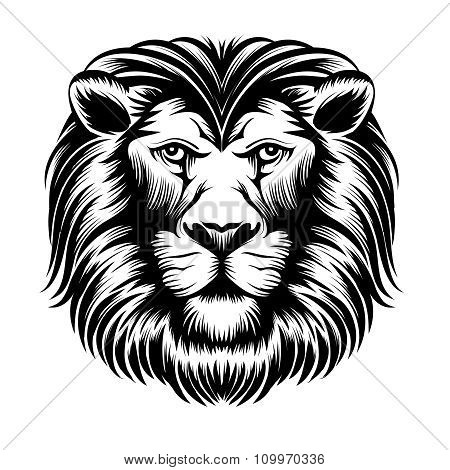 Lion head vector