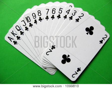 Tredici