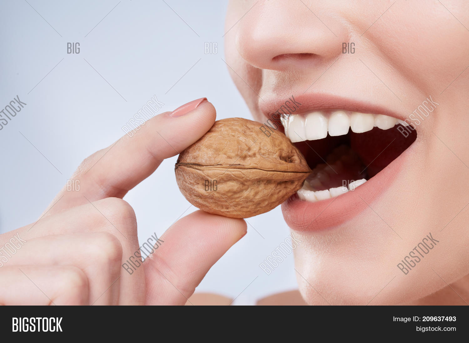 Walnut Mouth Image & Photo (Free Trial) Bigstock