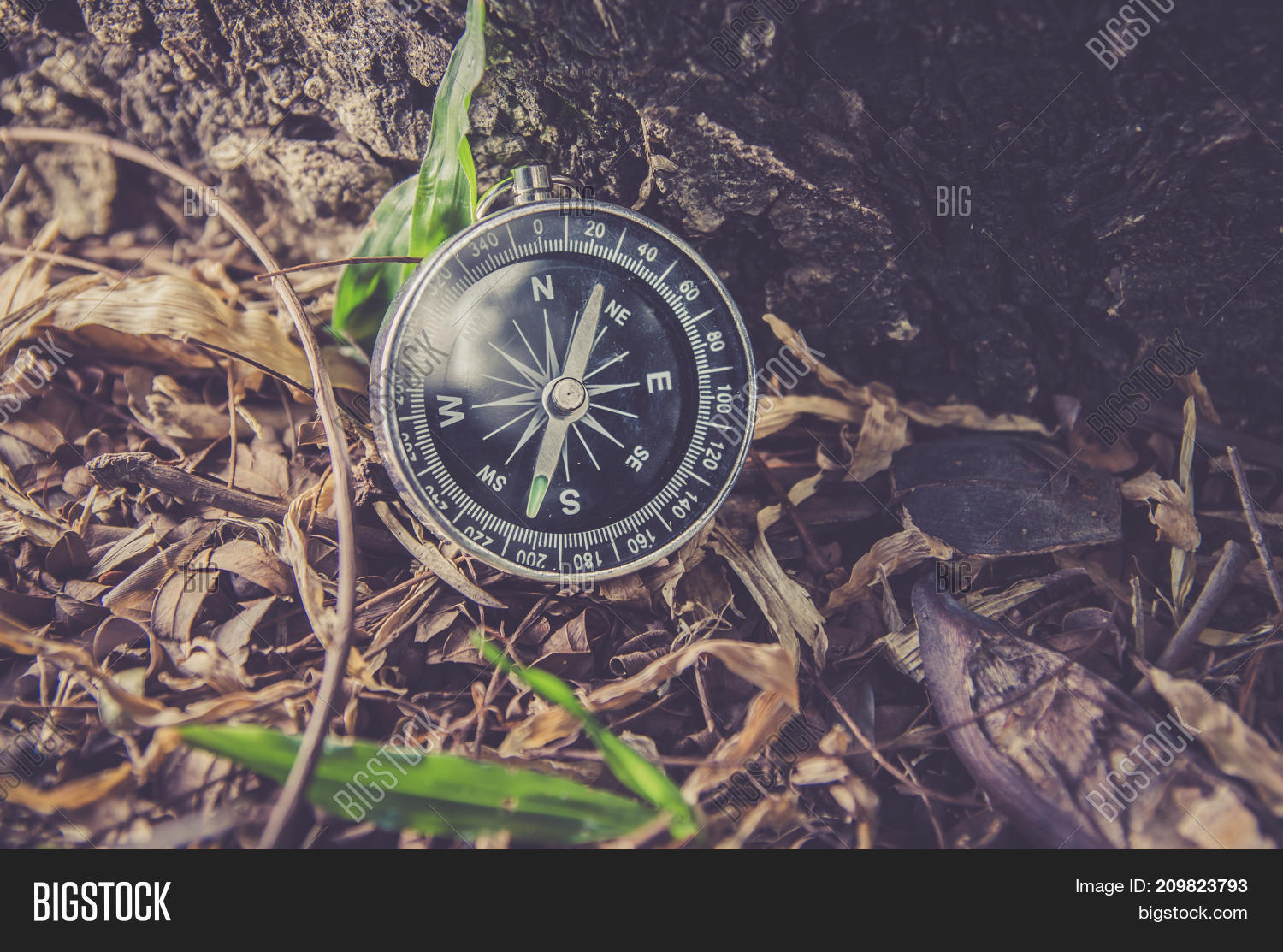 Compass Needle Image & Photo (Free Trial) Bigstock