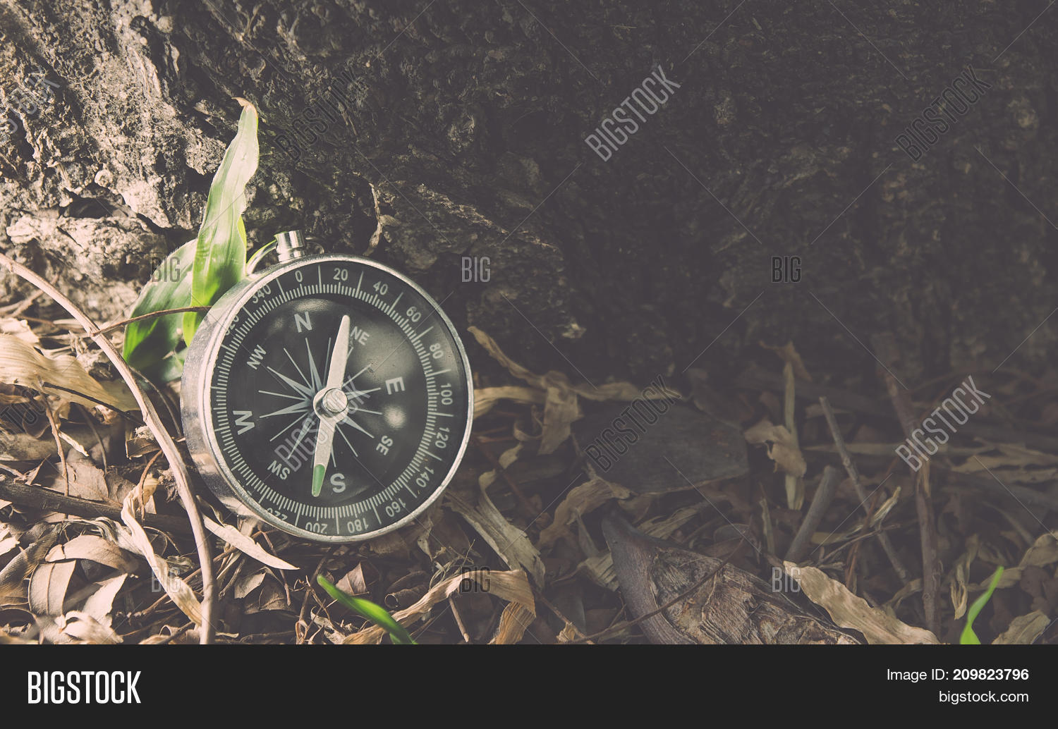 Compass Needle Image & Photo (Free Trial) Bigstock