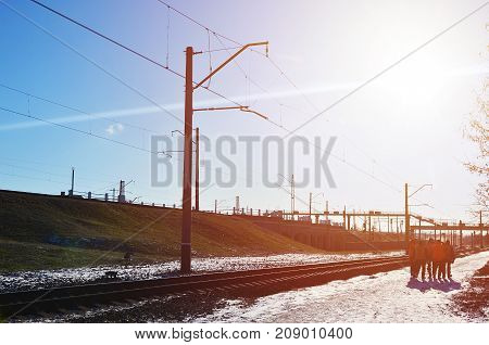 Railway Workers Team