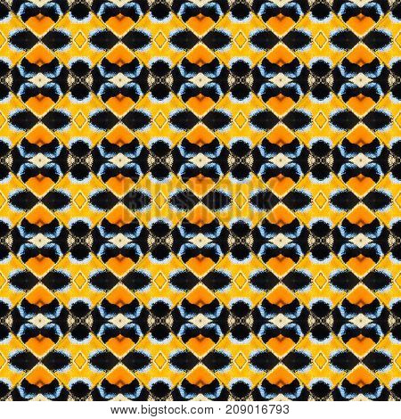 Background Created From Part Of Butterfly Wings