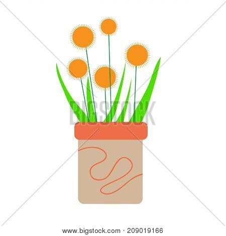 flowers in pot. vector illustration. home decorate