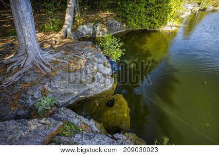 Rockwood Conservation Area in Ontario. North America