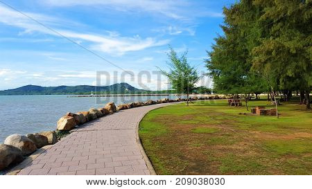 Park near by the beach with rock hedgerows border edges and jogging tracks