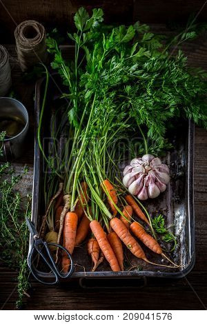 Ingredients For Roasted Tasty Vegetbales Made Of Carrots And Garlic