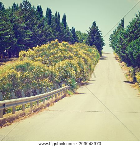 Stright Asphalt Road between Hills Covered with Bushes in Sicily Instagram Effect