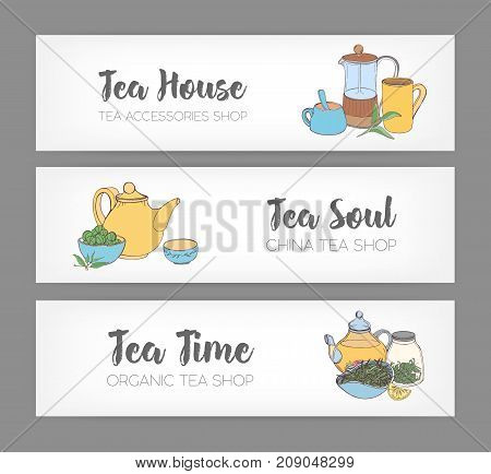 Bundle of colorful horizontal banners with hand drawn french press, cups, mugs, teapot and different types of organic tea on white background. Vector illustration for shop or teahouse advertisement