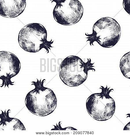 Beautiful seamless pattern with monochrome pomegranates hand drawn in elegant antique style. Ripe fresh fruits on white background. Natural vector background