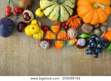 Autumn Background With Pumpkins, Fruits And Nuts