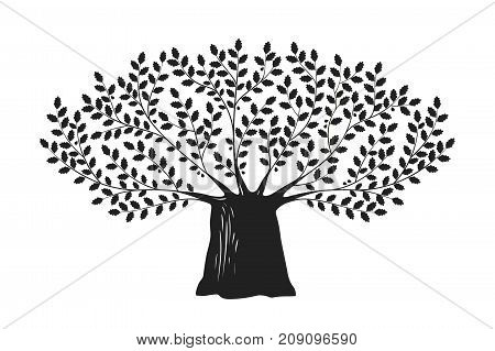 Tree, oak logo or label. Nature, ecology, environment, life, dynasty icon. Decorative vector illustration isolated on white background
