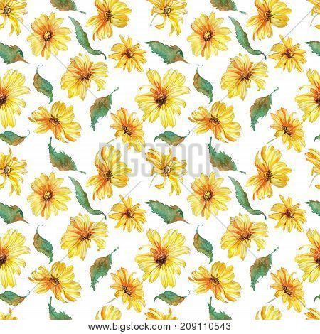 Hand drawn watercolor Summer flowers chamomile botany style seamless pattern