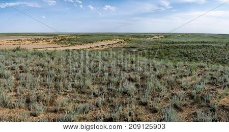 Steppe in Mangistau region in early summer. Panorama Kazakhstan.
