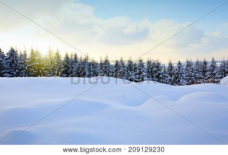 Snowy winter Christmas Landscape.Winter sunset over the snow-covered trees.