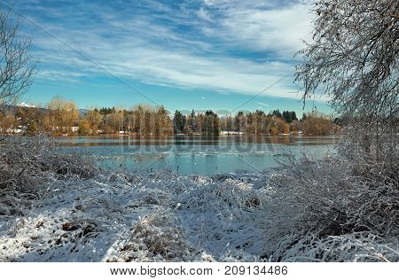 Winter landscape on the Deer Lake, snow-covered trees and shrubs on the lake shore against a beautiful blue sky with white clouds.