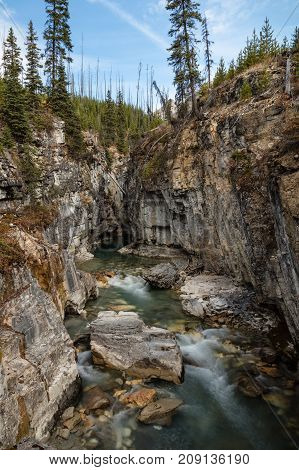 Tokumm Creek through the Canyon Creek hike in Kootenay National Park, British Columbia