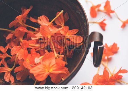 Closeup of vibrant orange crossandra flowers also known as Aboli flowers in India, over white or black background, selective focus