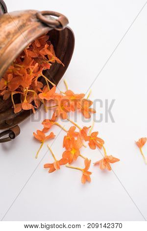 Closeup of vibrant orange crossandra flowers also known as Aboli flowers in India, over white or black background, selective focus
