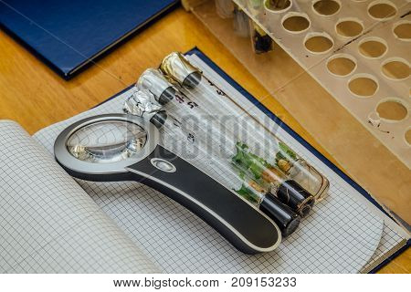 Three test tubes with in vitro microplants in nutrient medium and loupe on the plaid notebook on wooden table