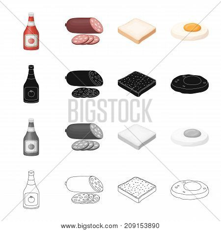 Sandwich, burger, butty and other  icon in cartoon style.Bottle, ketchup, seasoning, icons in set collection