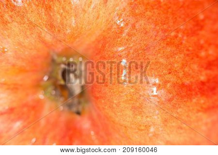 background of red apple. close-up . Photo of abstract background