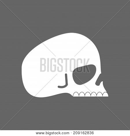 Skull profile isolated. head of skeleton. Vector illustration