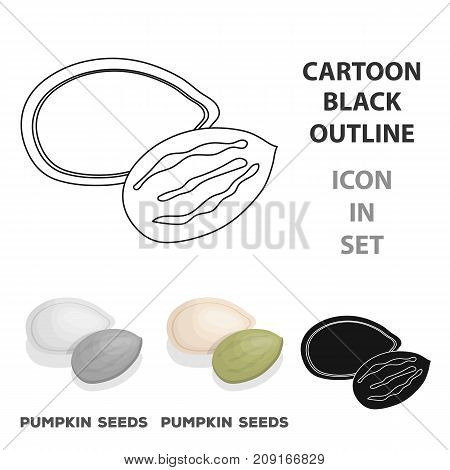 Pumpkin seeds.Different kinds of nuts single icon in cartoon style vector symbol stock web illustration.