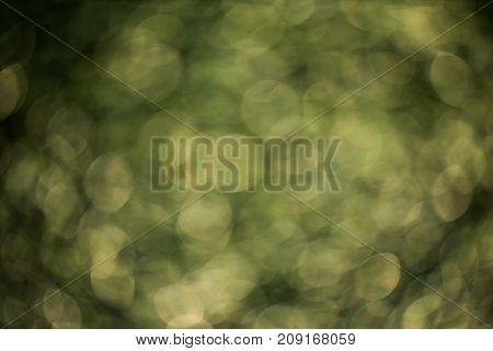 Colorful bokeh background. abstract blurred circles in nature colors. Copyspace for design and text