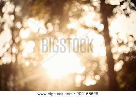 Colorful bokeh background. abstract blurred circles in nature colors. Copyspace for design and text