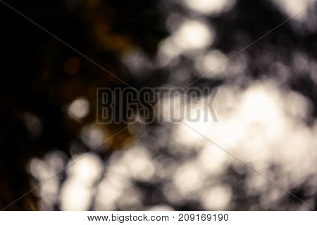Colorful bokeh background. abstract blurred circles in nature colors. Copyspace for design and text