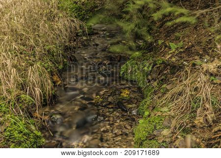 Small forest creek near Roprachtice village in north Bohemia