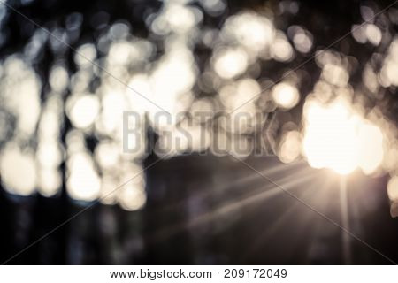 Colorful bokeh background. abstract blurred circles in nature colors. Copyspace for design and text