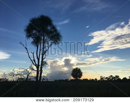 Sunset In The Everglades Marshes Of Florida