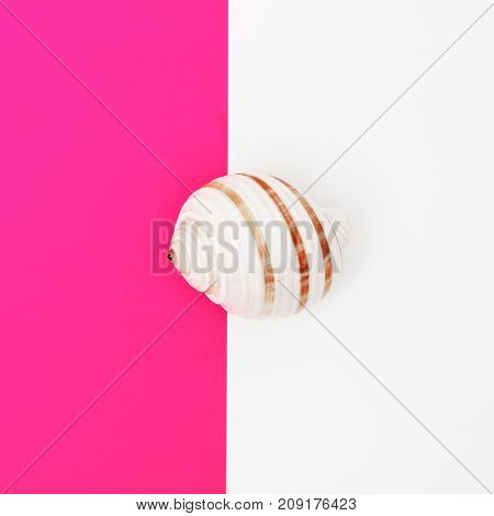 Minimal Style. Flat Lay. A Minimalistic Fashion Photo. Pop Art. A Colorful Simple Photograph Of Sea