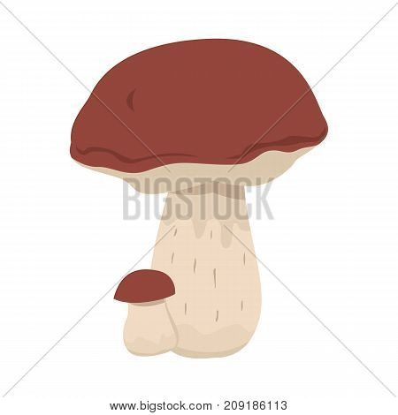 Forest edible mushroom flat vector illustration isolated.