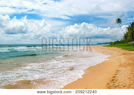 Ocean Beach. Yellow sand and coconut palm. Seascape.