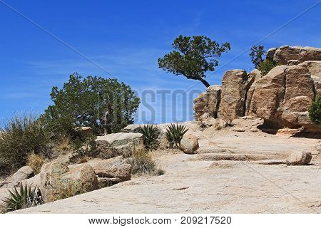 Windy Point on Mount Lemmon in Tucson, Arizona, USA in the Santa Catalina Mountains located in the Coronado National Forest with blue sky copy space.