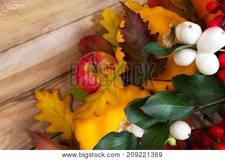 Fall Background With Snowberry And Yellow Squash