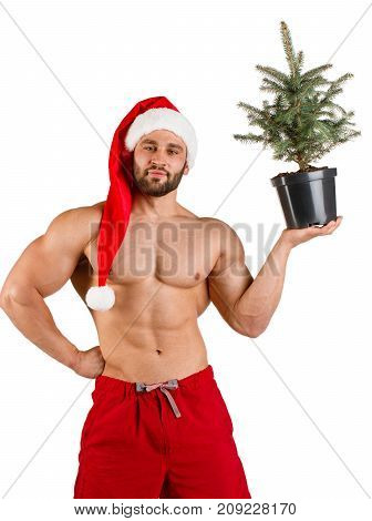 Fitness man dressed as Santa Claus with Christmas tree in his hand at studio photo session, alone, white background