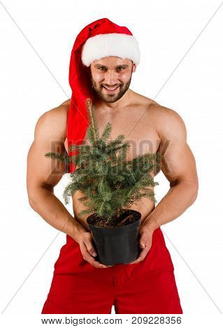 Strong smiling man dressed as Santa Claus with green Christmas pot tree in his hand and red hat, isolated, white background