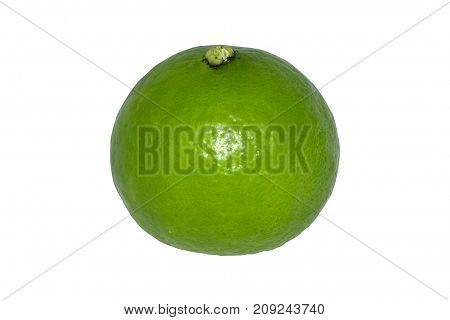 lemon green on white background Food ingredients