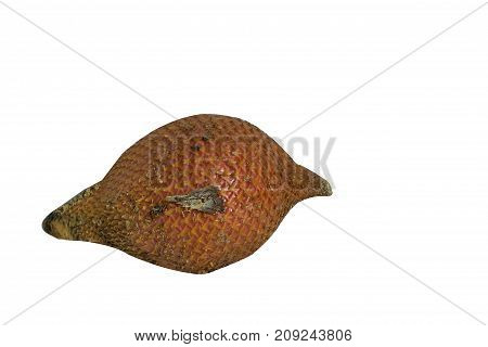 Salacca wallichiana on white background fruit food