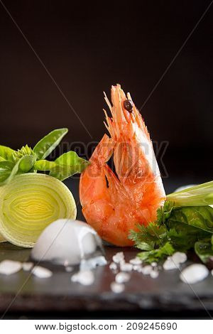 Shrimp Prawn Serving With Leek, Basil, Ice Against Black Background. Seefood Diet Concept. Healthy F