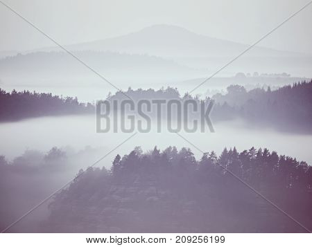 View Into Misty Valley. High Trees And Rocky Peaks Increased From Thick Fog.  The First Sun Rays