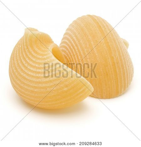 Italian lumaconi isolated on white background. Lumache, snailshell shaped pasta.