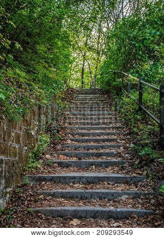 Beautiful upgoing old stone stairway among plants in nature