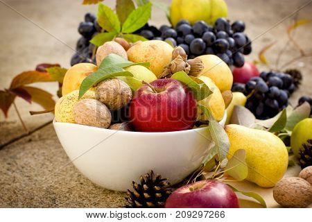 Fresh tasteful autumn organic fruit in bowl - healthy seasonal food