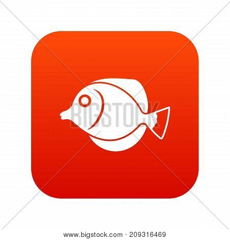 Tang fish, Zebrasoma flavescens icon digital red for any design isolated on white vector illustration