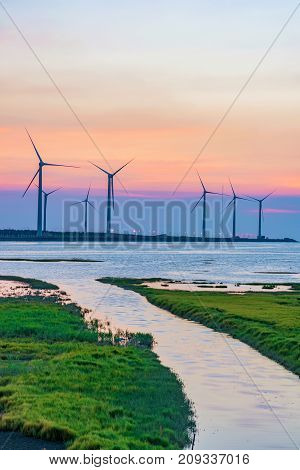Gaomei Wetlands wind farm at dusk in Taiwan